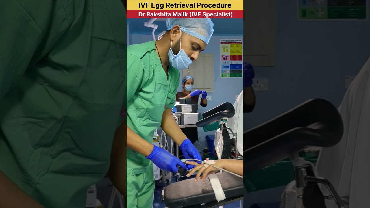 IVF Egg Retrieval Procedure by Dr Rakshita Malik #ivfspecialist #ivfdoctor #ivfcenter #ivfsuccess