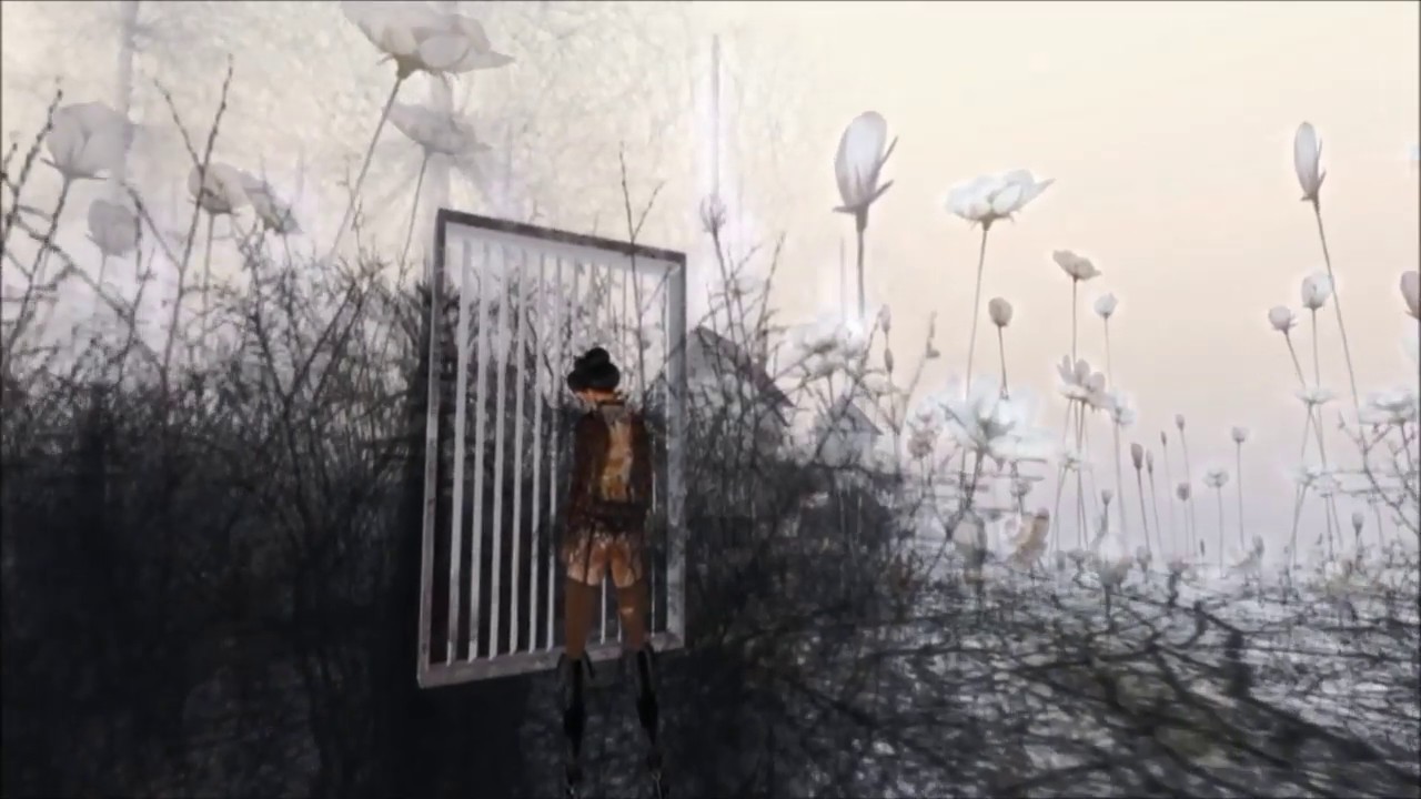 Nature and Organisation -  Introduction