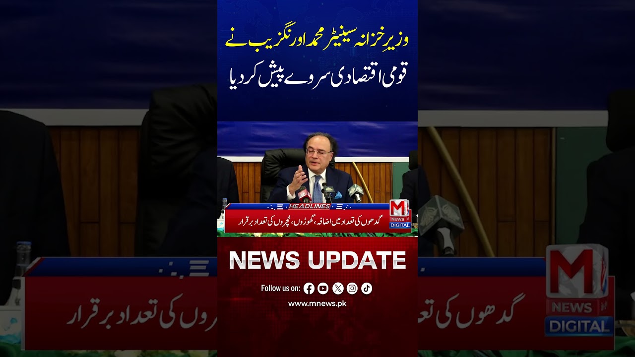 Finance Minister Senator Muhammad Aurangzeb Presents National Economic Survey | M News Digital