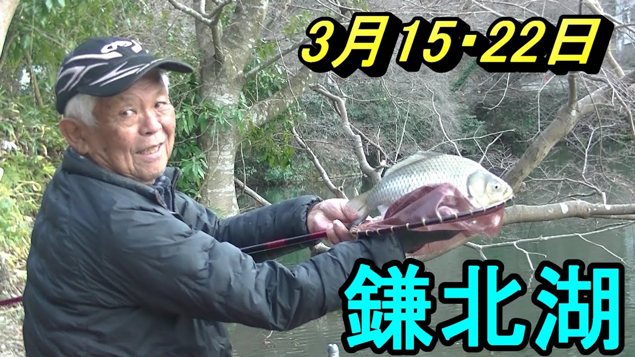 鎌北湖　体高のあるヘラを狙え！　2025年3月15・22日