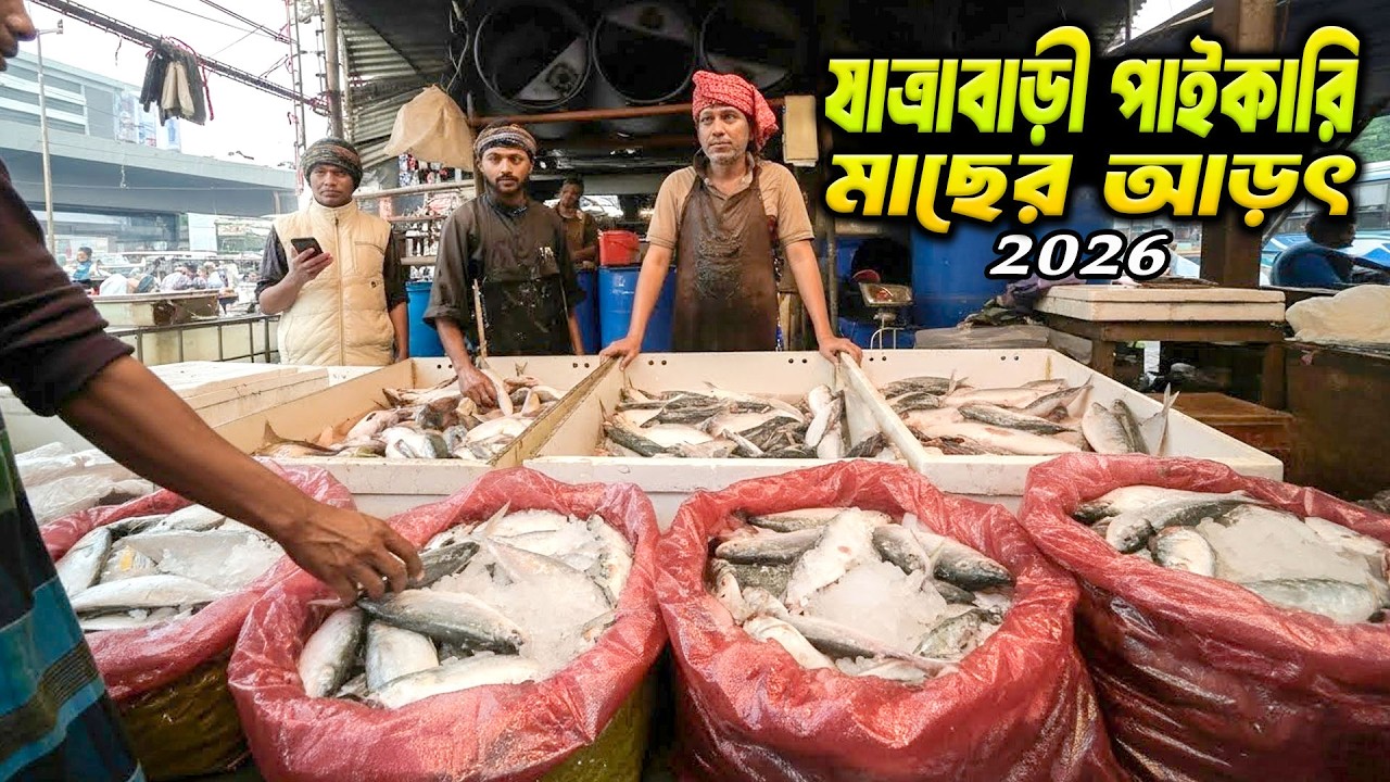 যাত্রাবাড়ী পাইকারি মাছের আড়ৎ ২০২৬ | আজকের তাজা মাছের দাম দেখে অবাক!|Jatrabari Wholesale Fish Market