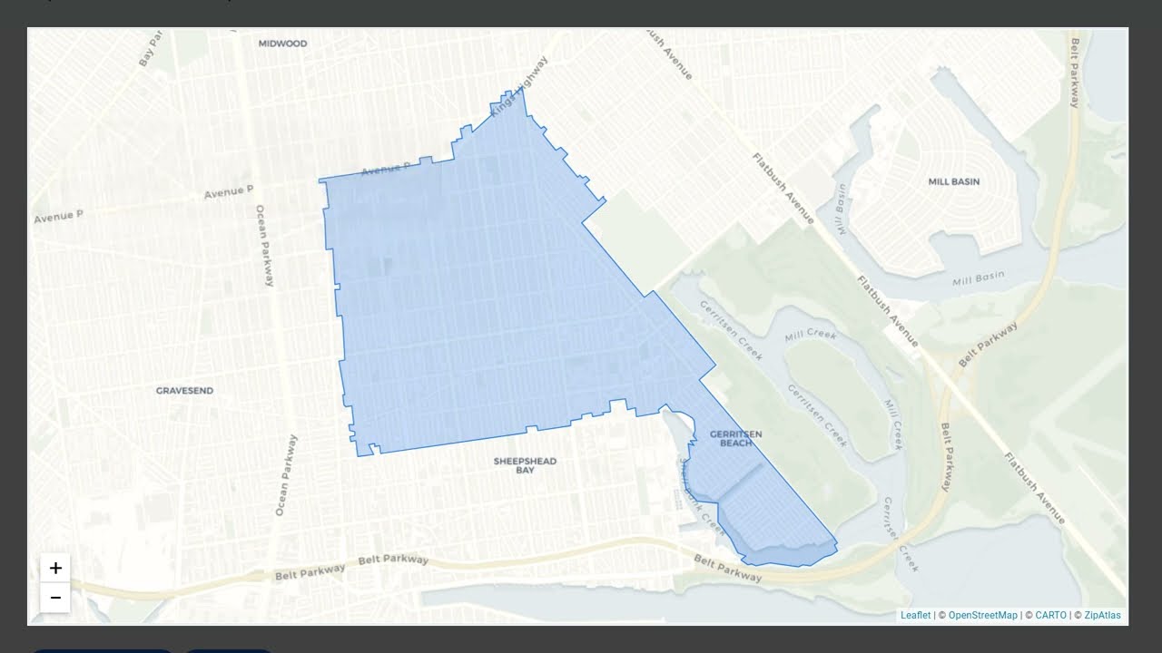 Zip Code 11229 (NY) Social & Economic Profile