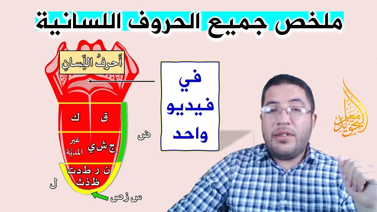 ما هي الحروف اللسانية؟ وكم عددها؟ وما هي مخارجها التفصيلية؟ وما هي شواهدها من الجزرية؟