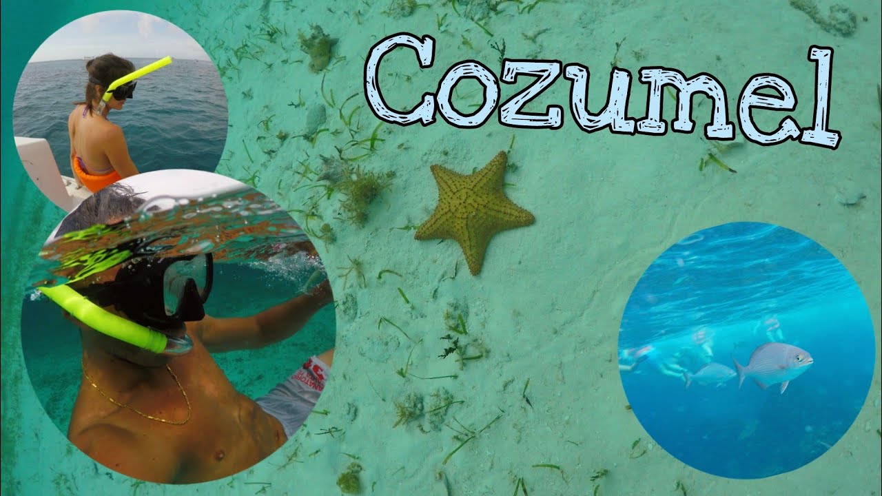 ISLA COZUMEL | El Cielo | Conocemos un poco más de Playa del Carmen
