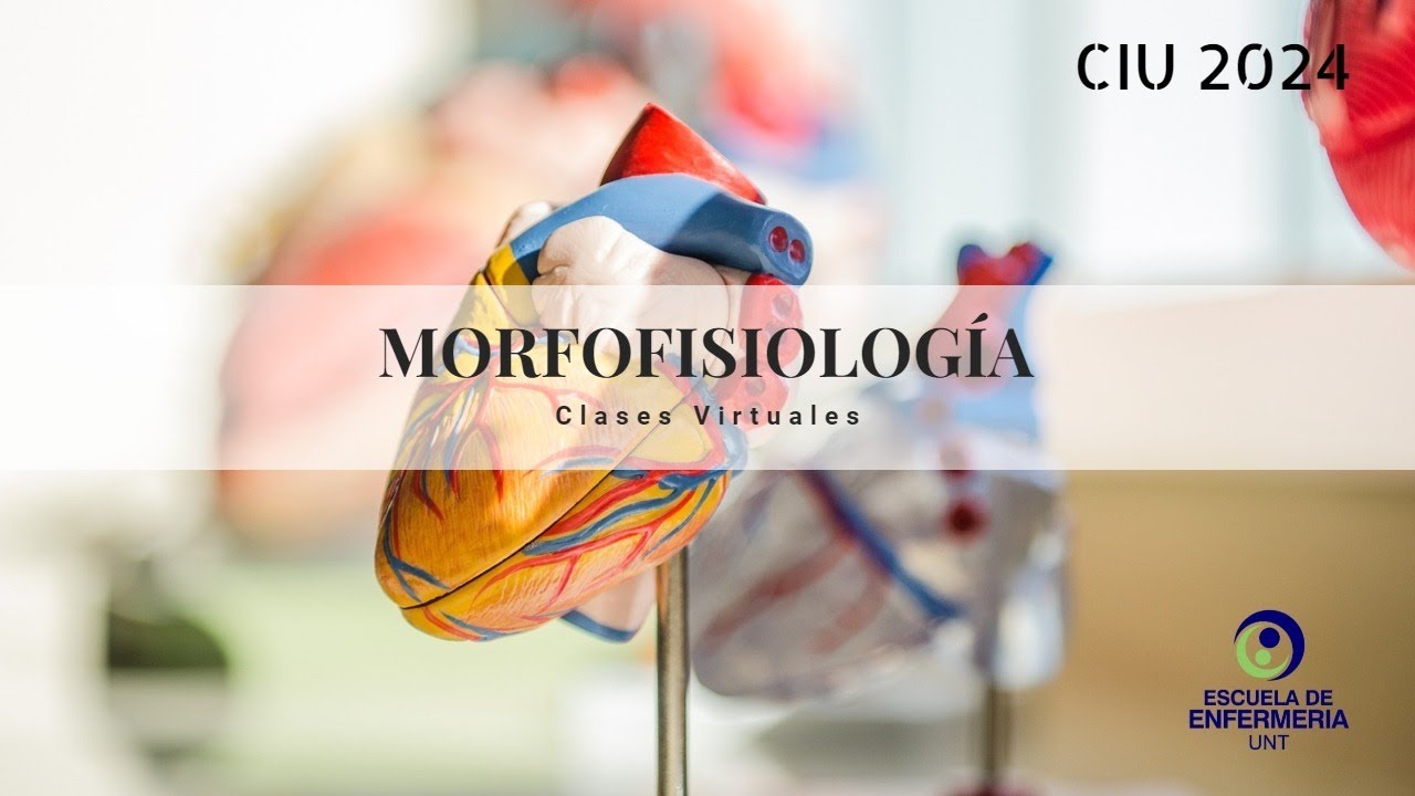 Clase N&ordm; 1. Morfofisiolog&iacute;a - CIU 2024