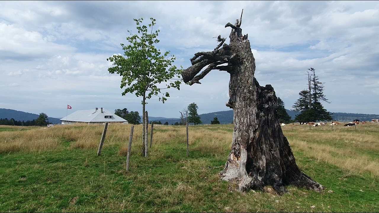 Mon beau Jura