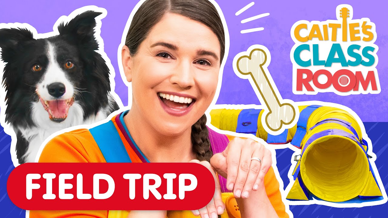 Let's train our dog! 🐾 | Can YOUR dog complete this agility obstacle course? | Super Simple Play