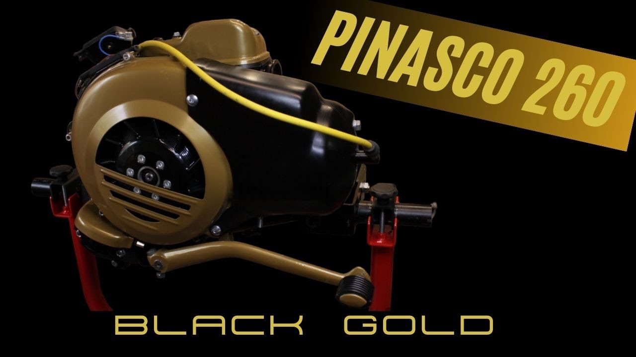 Vespa Motor Aufbau in Stop Motion Pinasco 260cc