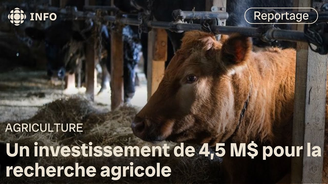 4,5 M$ en recherche pour aider les éleveurs et les agriculteurs en Saskatchewan