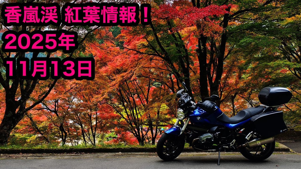 香嵐渓 紅葉情報！ 2025年11月13日