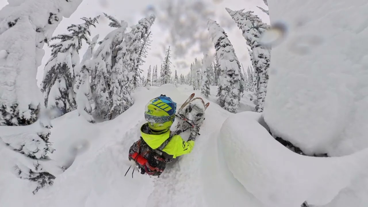 TOO MUCH SNOW?