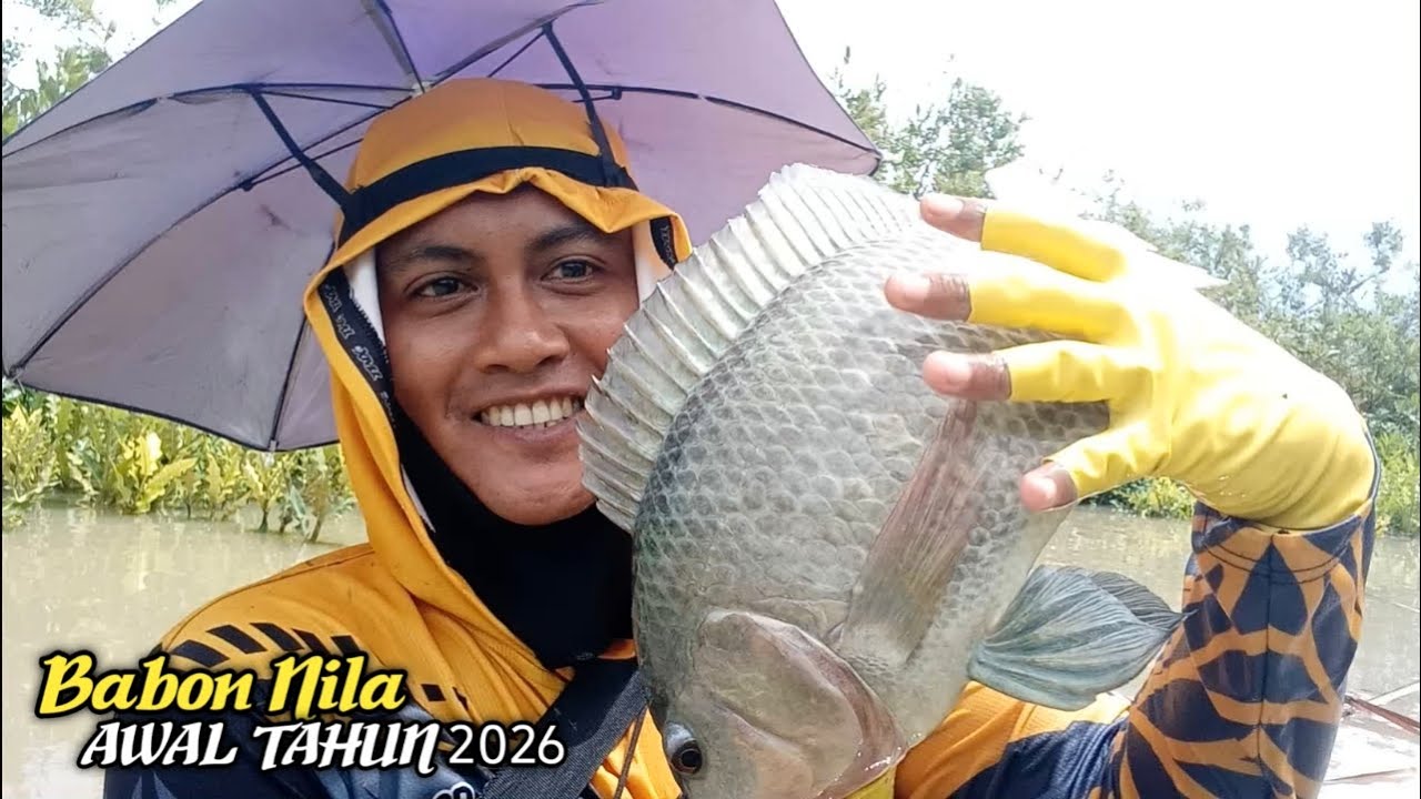 Babon nila di tahun 2026 ❗❗