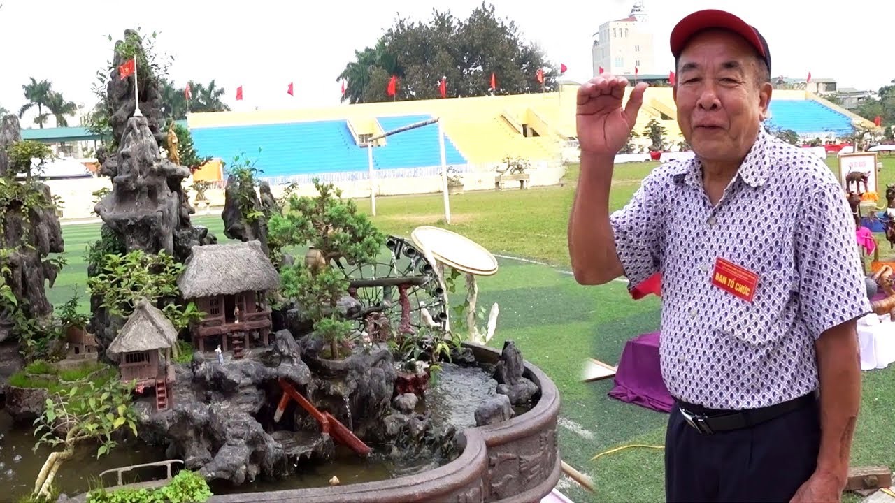 500 triệu tiểu cảnh do cụ già tự làm - Bonsai trees