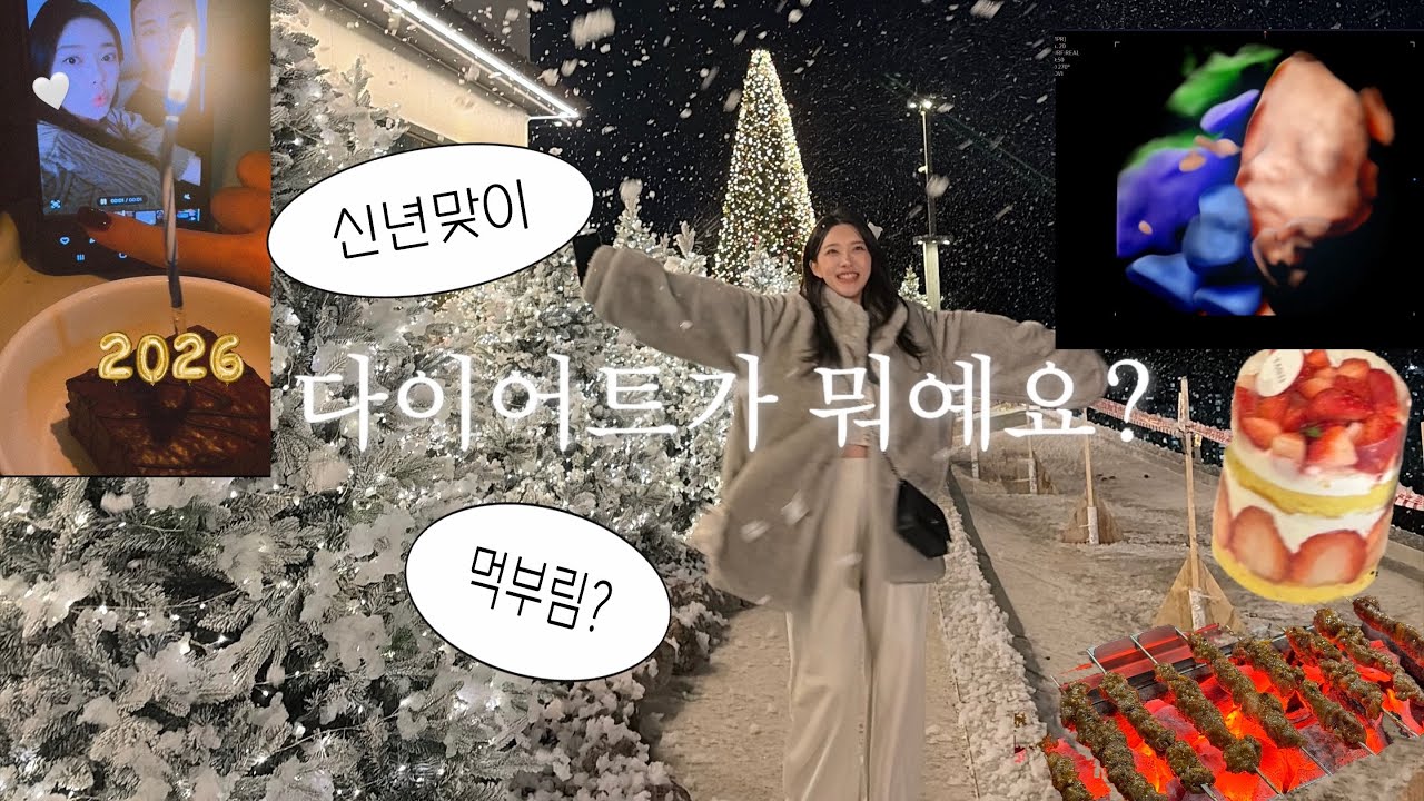 (VLOG) 다이어트? 출산후에 할께 ! (두바이쫀득쿠키,딸기케이크,한우로스구이,카페투어,인형뽑기,도파민중독,임산부감기,신년맞이,새해,한해마무리)