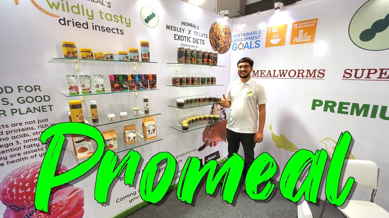 Insect Products by Promeal - Live & Dried Mealworms, Superworms, Black Soldier Fly,Crickets, Roaches