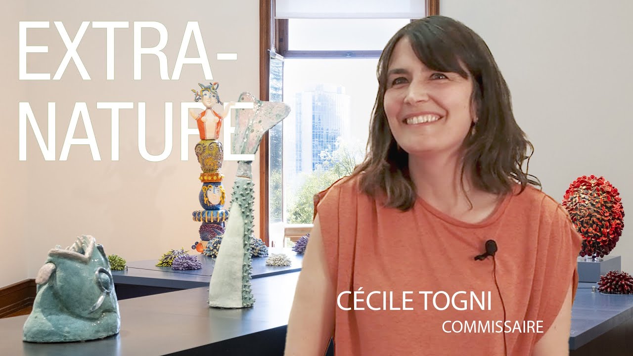 Cécile Togni: commissaire d'exposition | Antonio Vasconcelos Lapa | Artiste contemporain