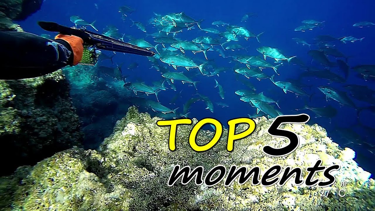 😲TOP 5 moments of double 🎞 | Spearfishing the Aegean 🇬🇷 ✔