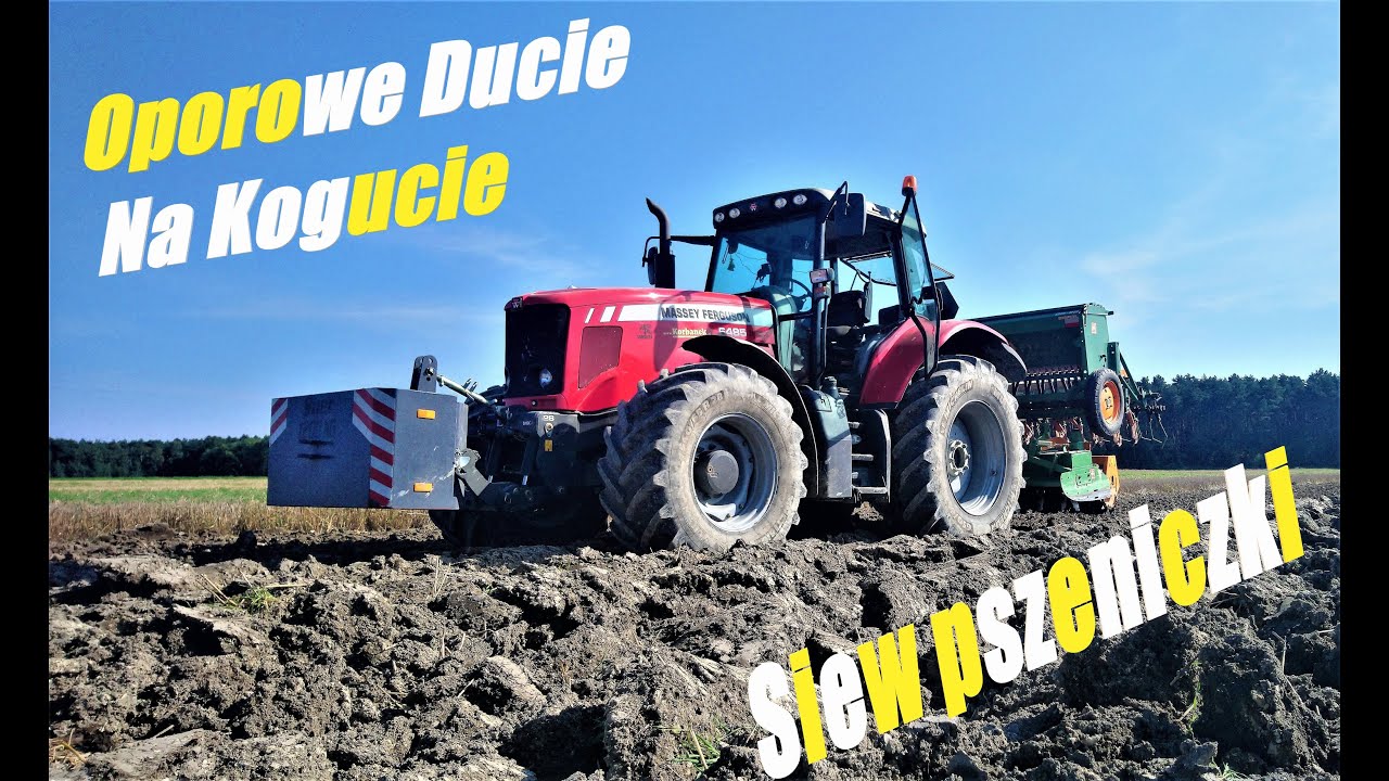 ❗Siew 2021❗Ostre Ducie na Kogucie🔥✅Siew pszenicy🔥Massey leci jak zygzak ✅