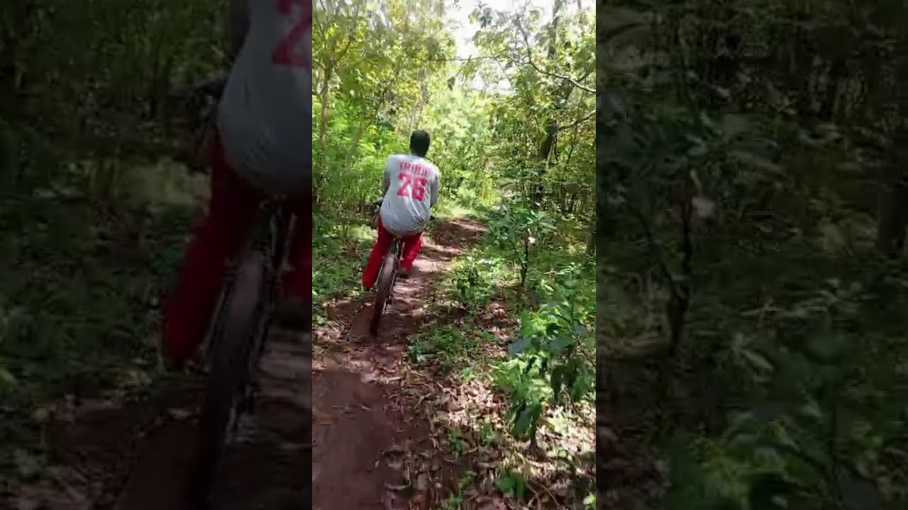 COMRADES ADVENTURES