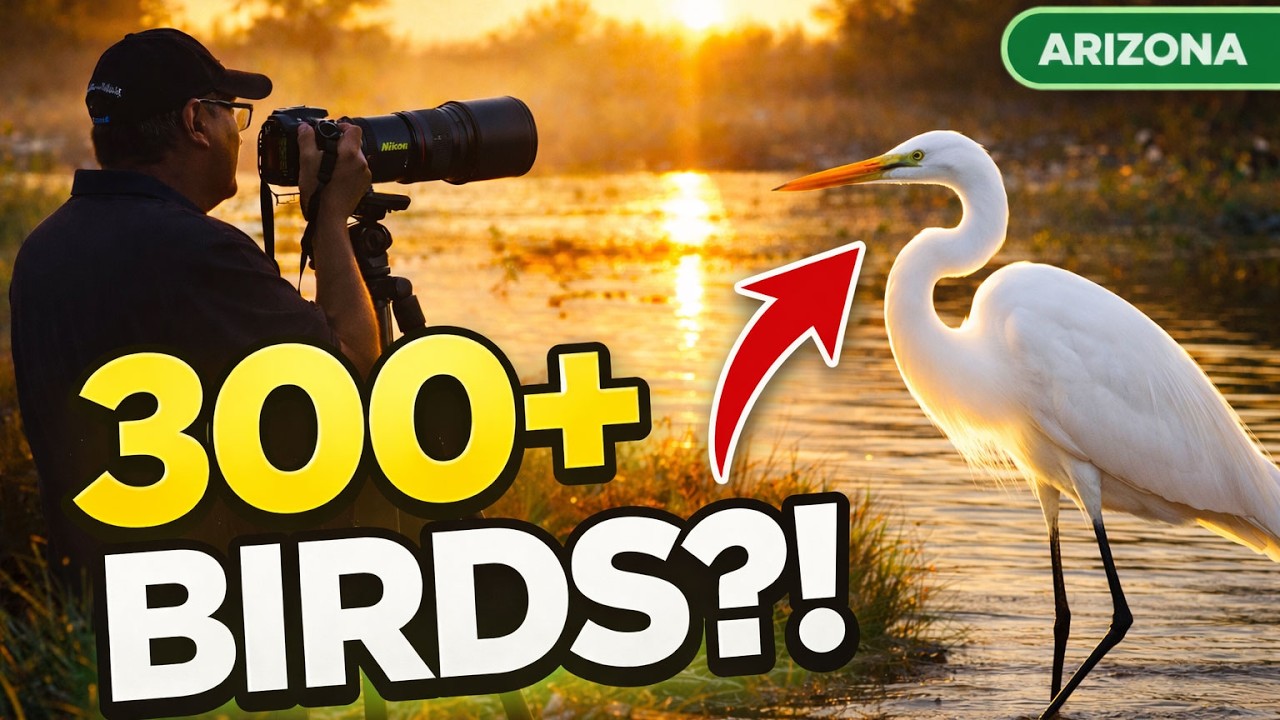 This Arizona Preserve Has Over 300 Bird Species (Here's Why)