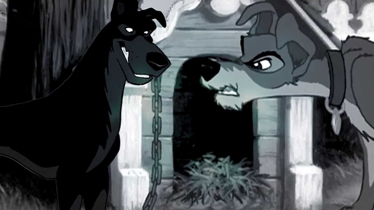 I Can't Be Bloody Romeo All The Time!