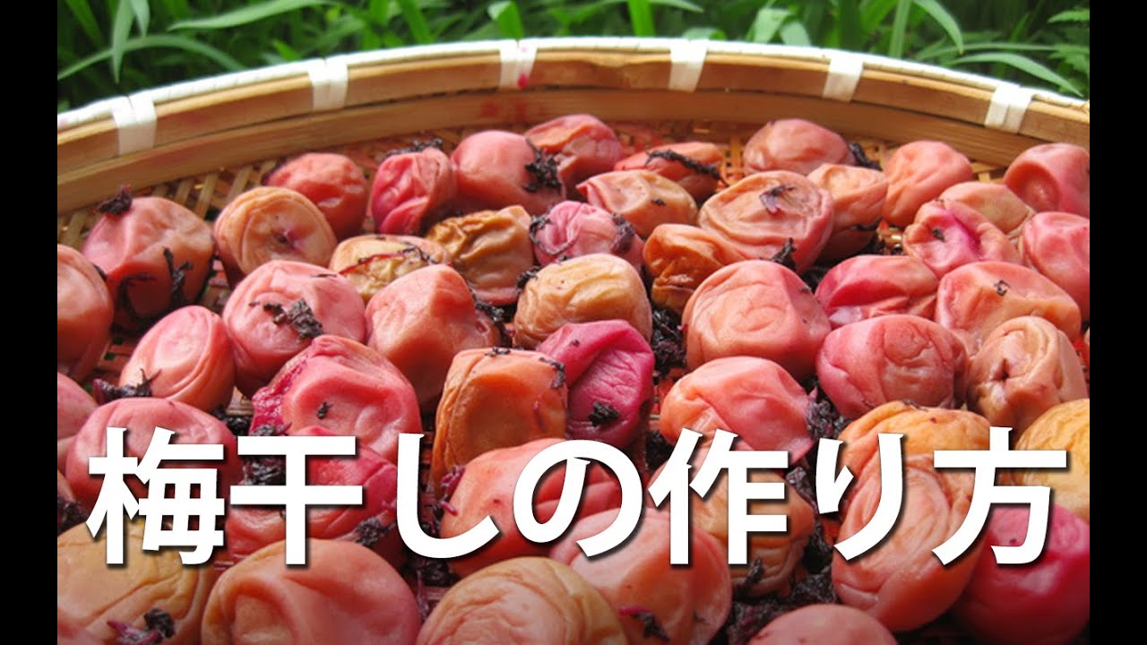 梅干しの作り方-/How to make  delicious umeboshi(pickled ume)
