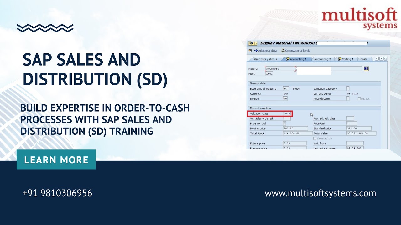 Обучение работе с SAP Sales and Distribution (SD) | Объяснение процесса «Заказ-оплата» — Multisof...