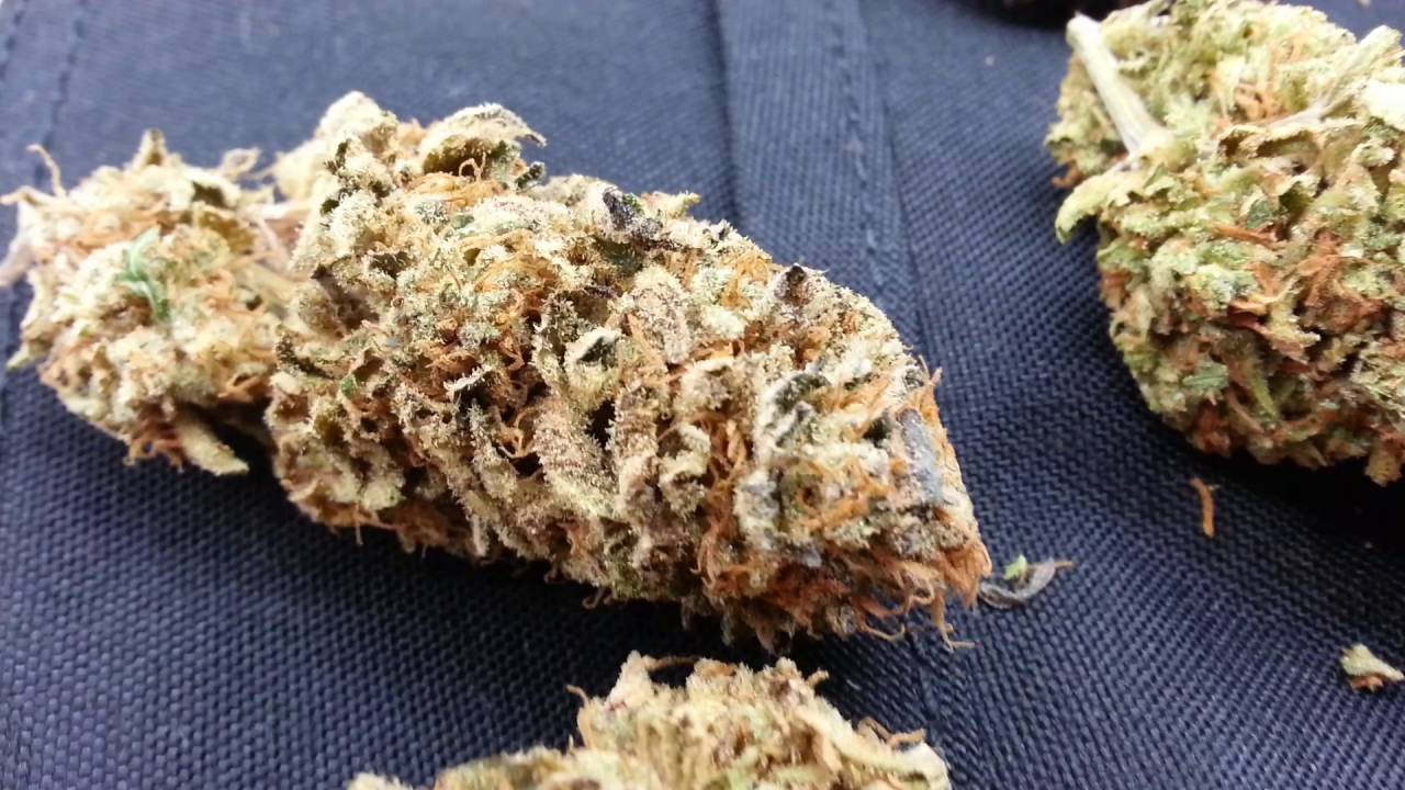 Spectrum  king  led  double  harvest video 400 plus and 2 400's