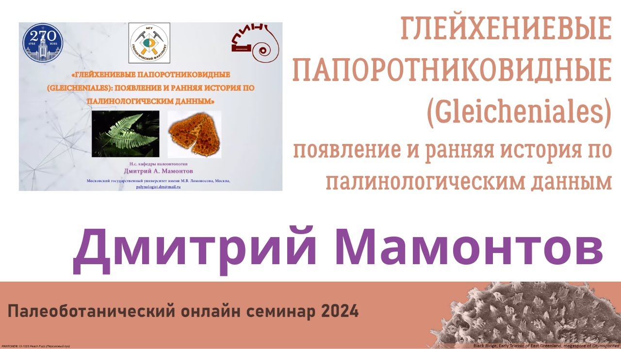 Мамонтов Д.А. - Глейхениевые папоротниковидные (Gleicheniales)