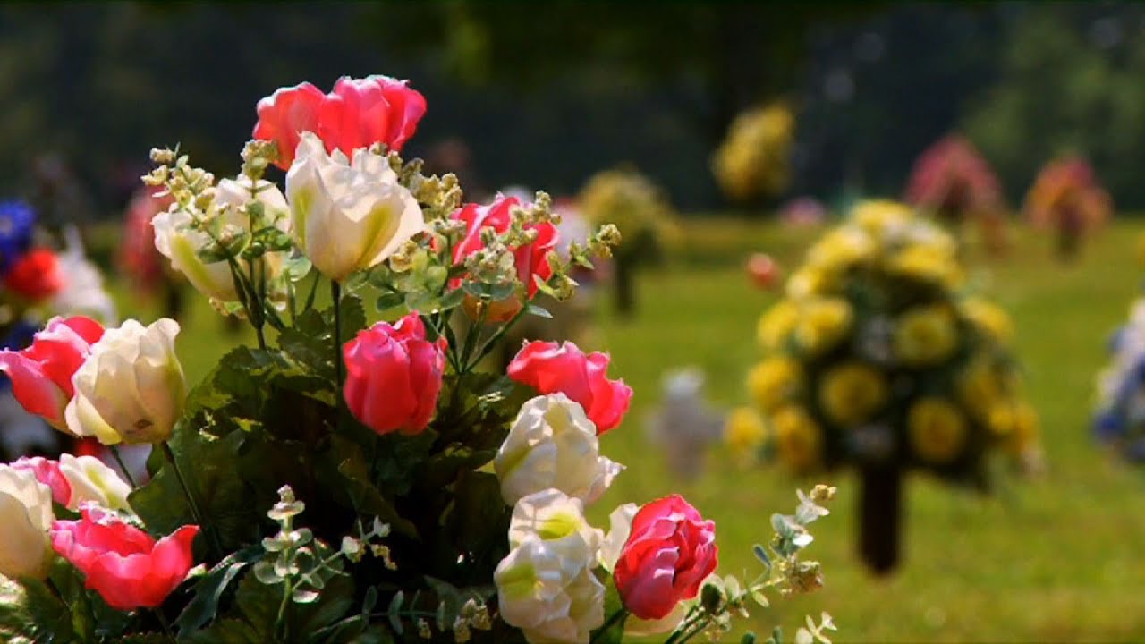 'Dying Green' Explores Conservation Through Natural Burial