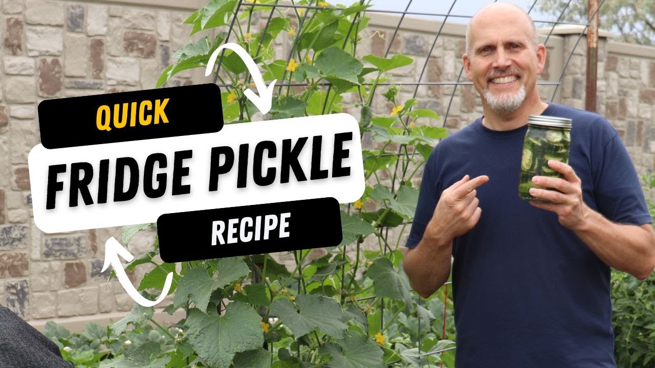 Quick 6 Ingredient Refrigerator Pickle Recipe