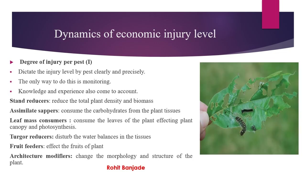 Economic Injury level (EIL) / Economic Threshhold level (ETL) and Damage Boundry with examples