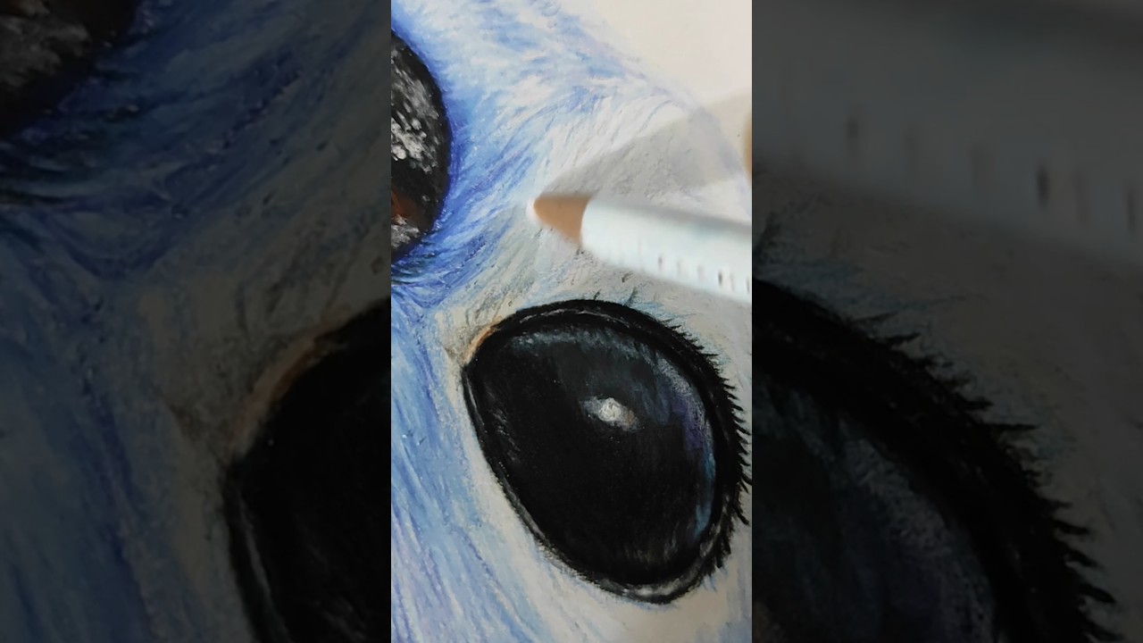 El Pelaje de Stitch | Lilo y Stitch Live Action | MariamSofiaARTShorts