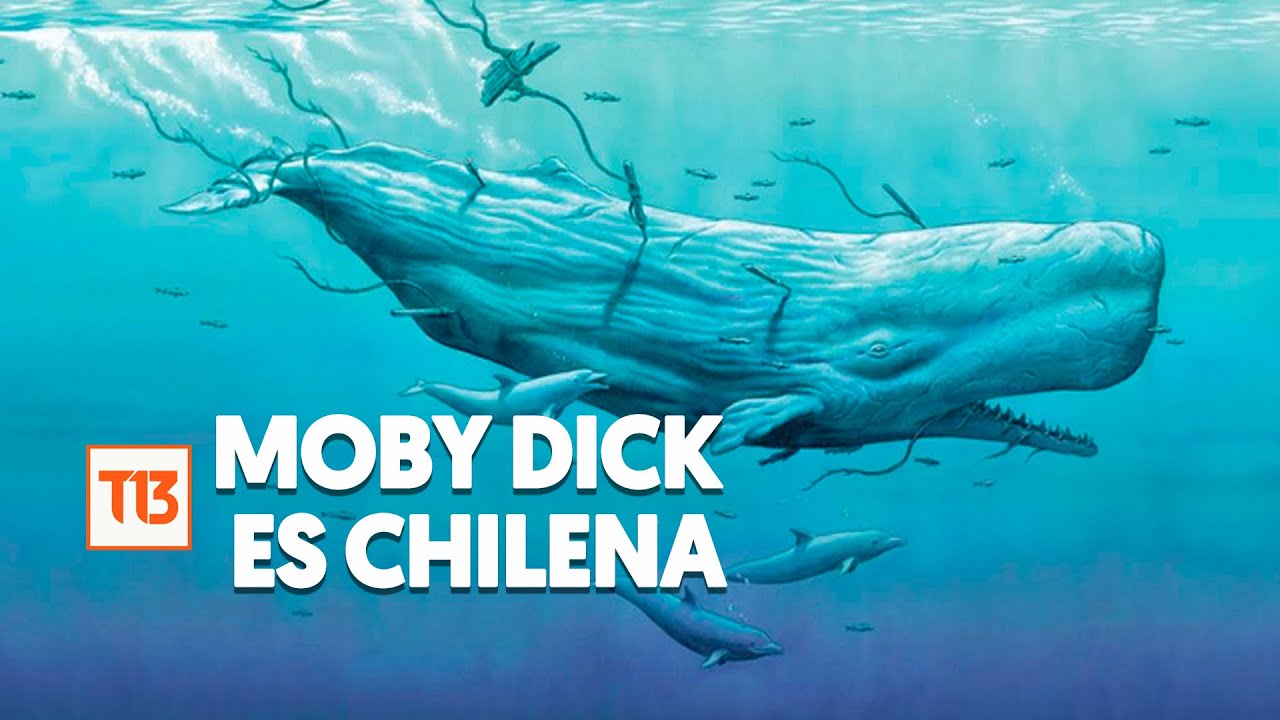 La verdadera historia de por qué Moby Dick sería chilena, con Francisco Ortega