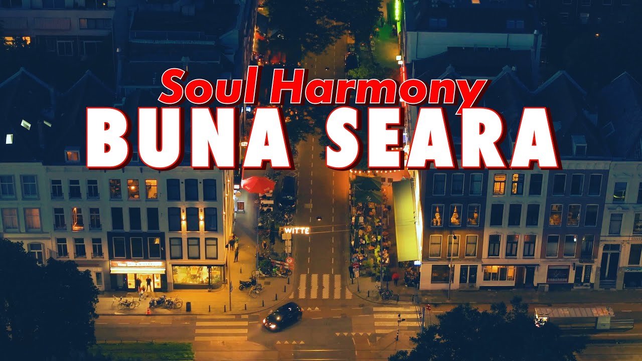 Soul Harmony 💚 Buna Seara [ 528 Hz Music Therapy ] 🌿 Peace and Love 💚
