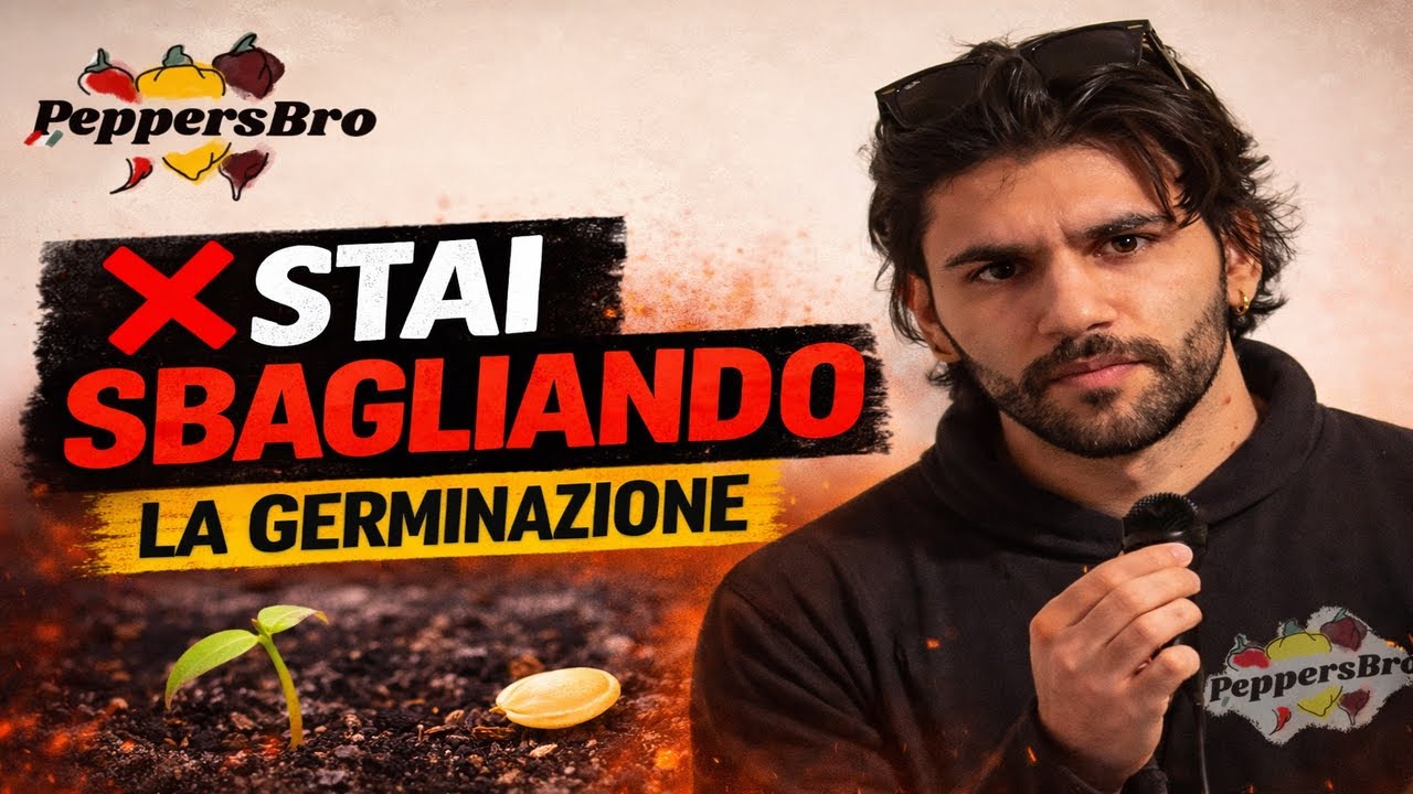 Germinazione peperoncini: 5 errori comuni da non fare!