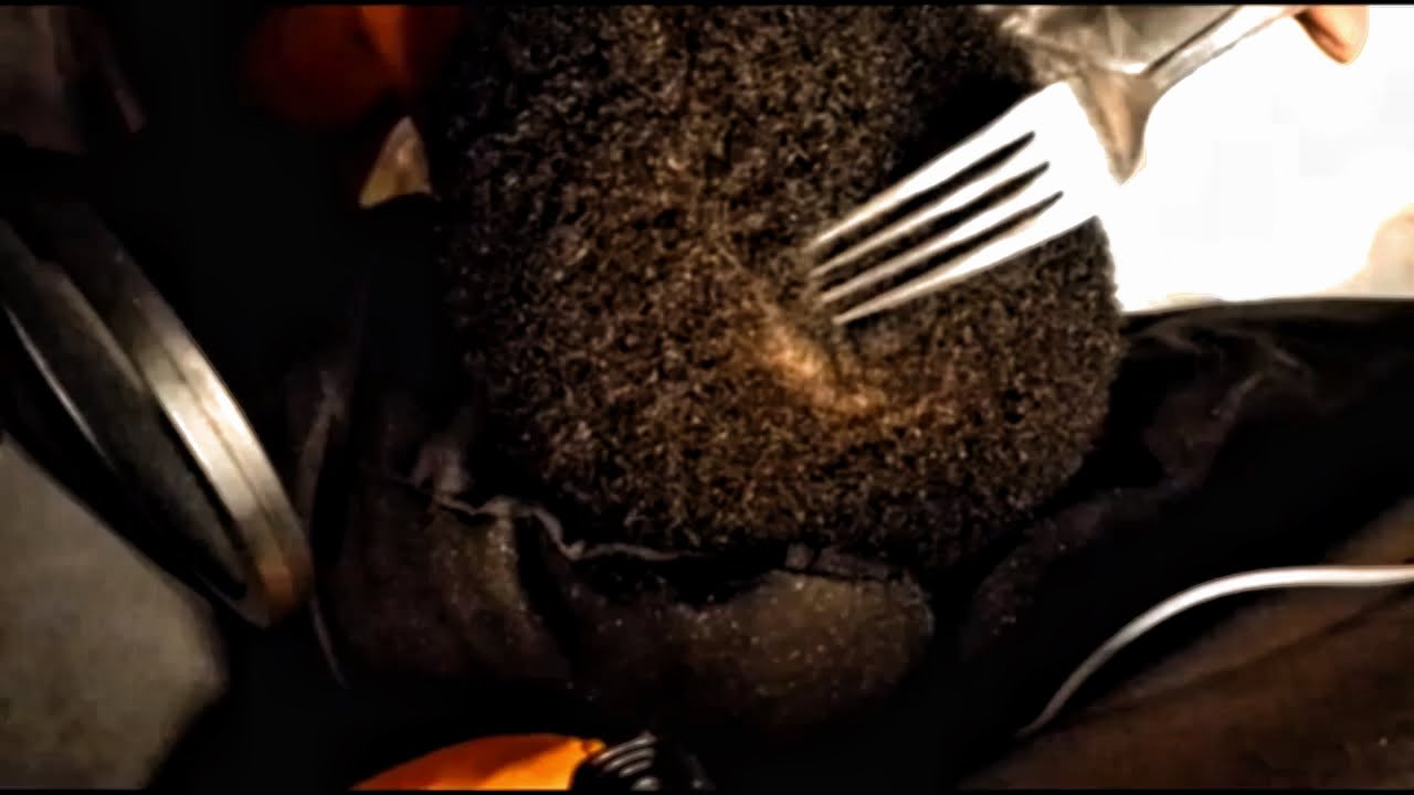 ASMR| Fast Fork Short Hair Scalp Scratch| Tingles | No talking