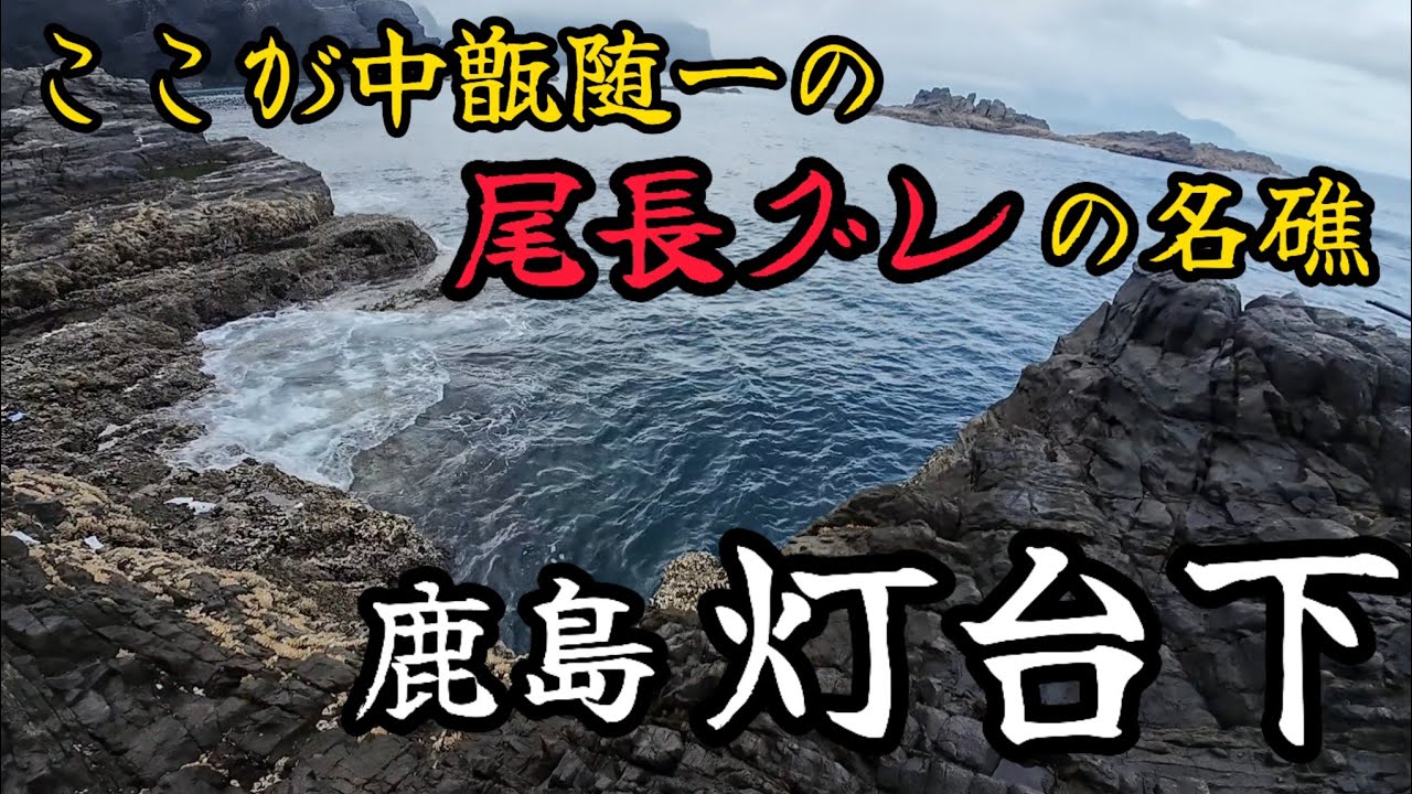 甑島円崎灯台下で尾長チャレンジ!?