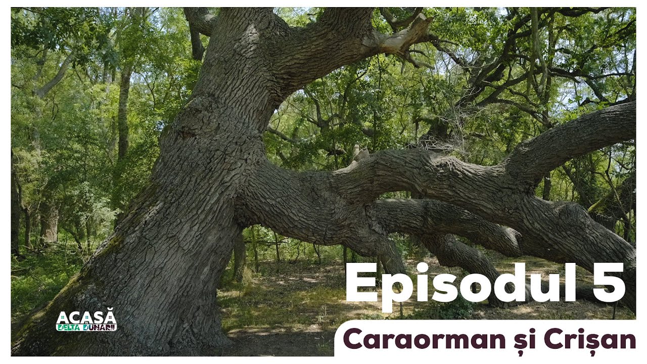 Episodul 5 - Acasă în Delta Dunării - Caraorman și Crișan