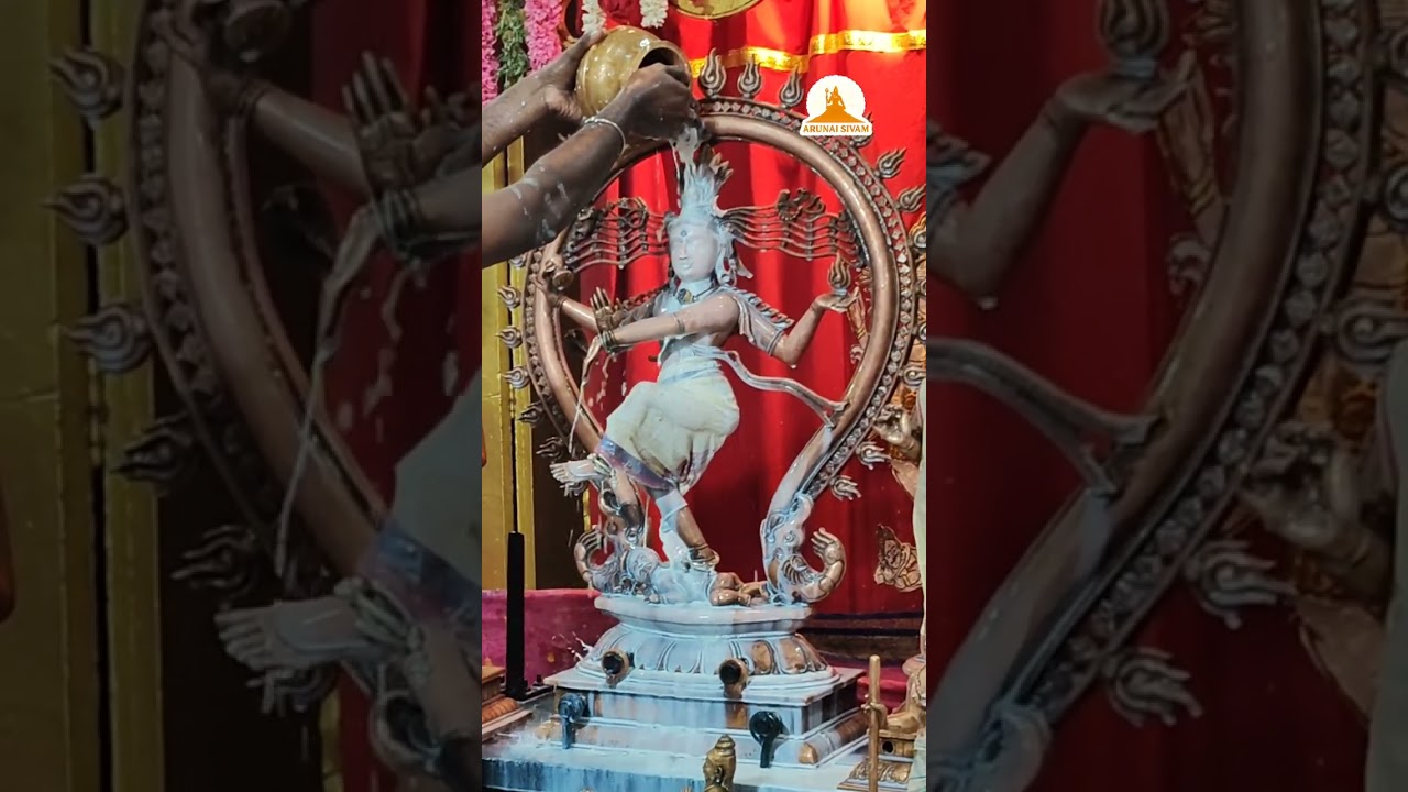 Maasi Chathurdasi Sri Natarajar Abhishekam at Saidapet Sri Natarajar Sabai #natarajar  #lordshiva 