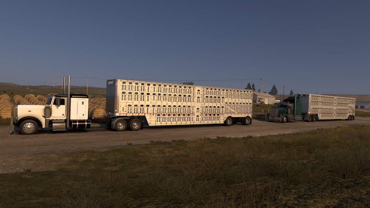 ATS Hauling cattle on convoy Peterbilt379 n14 cummins