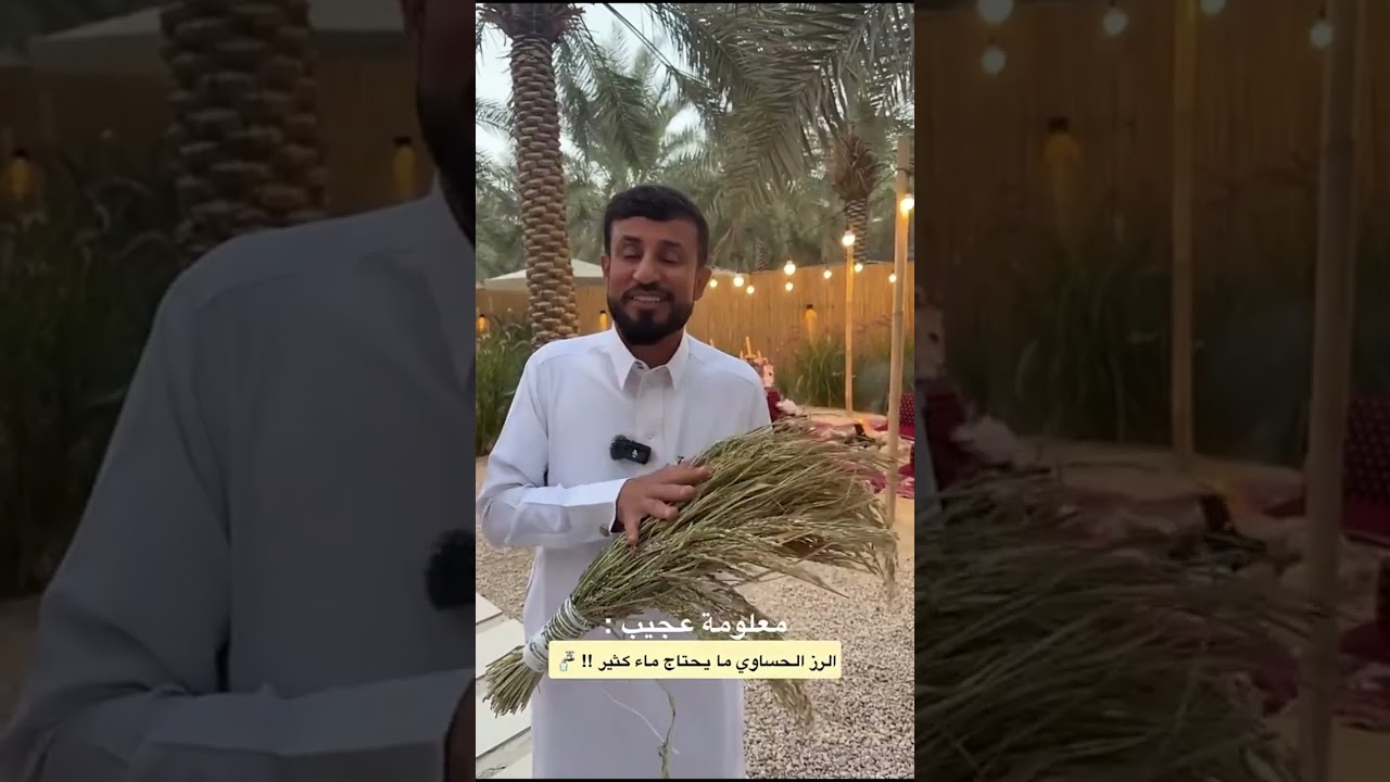 500 متر تحت الأرض 😱😱 | سنابات العشير | ابوالعشيرة | علي سعيد | سنابات علي سعيد