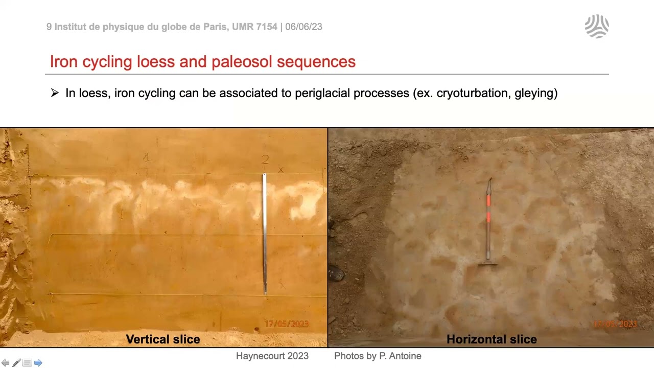 France Lagroix (IPGP) - Loess and Paleosols in the Global Iron Cycle