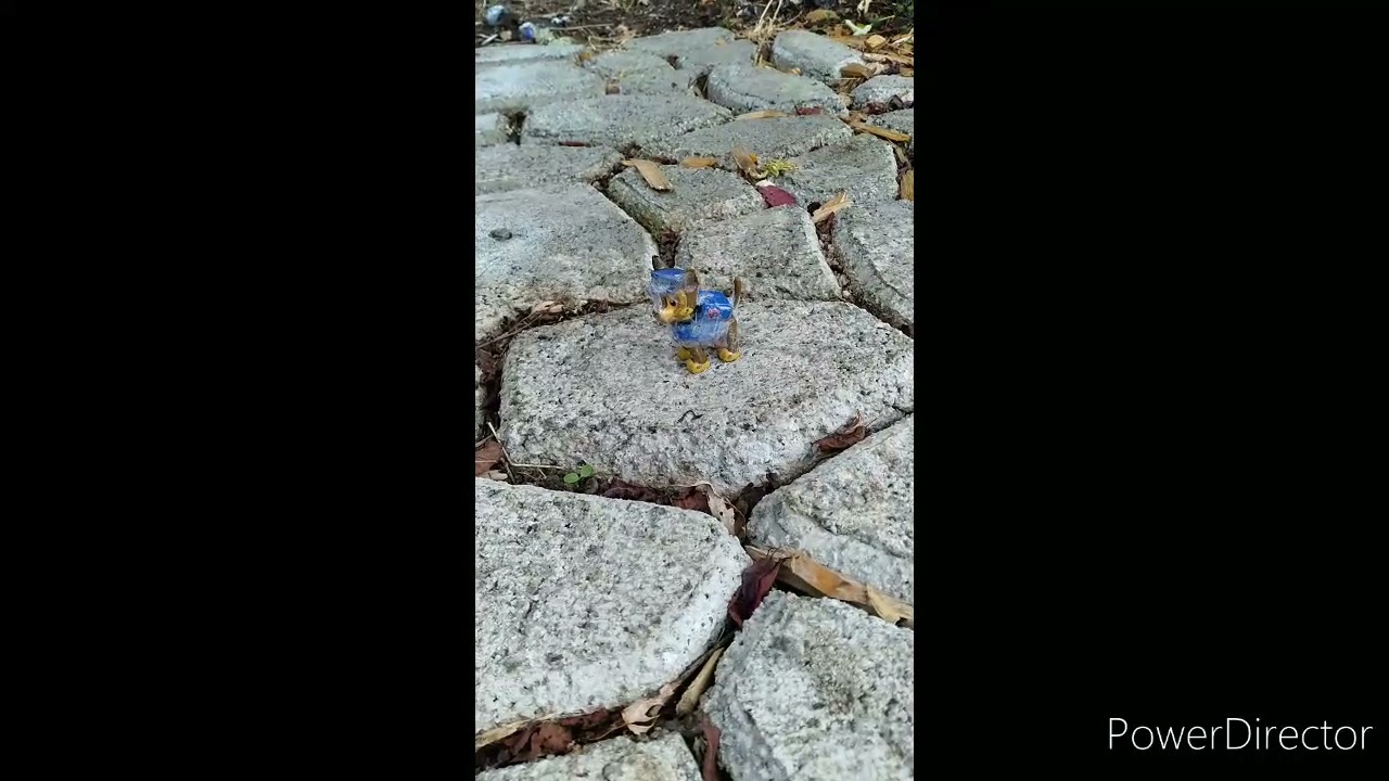 the haunted chase