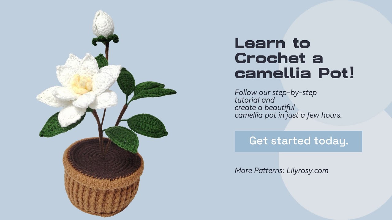 How to crochet camellia flower  pot/ step by step / US terms