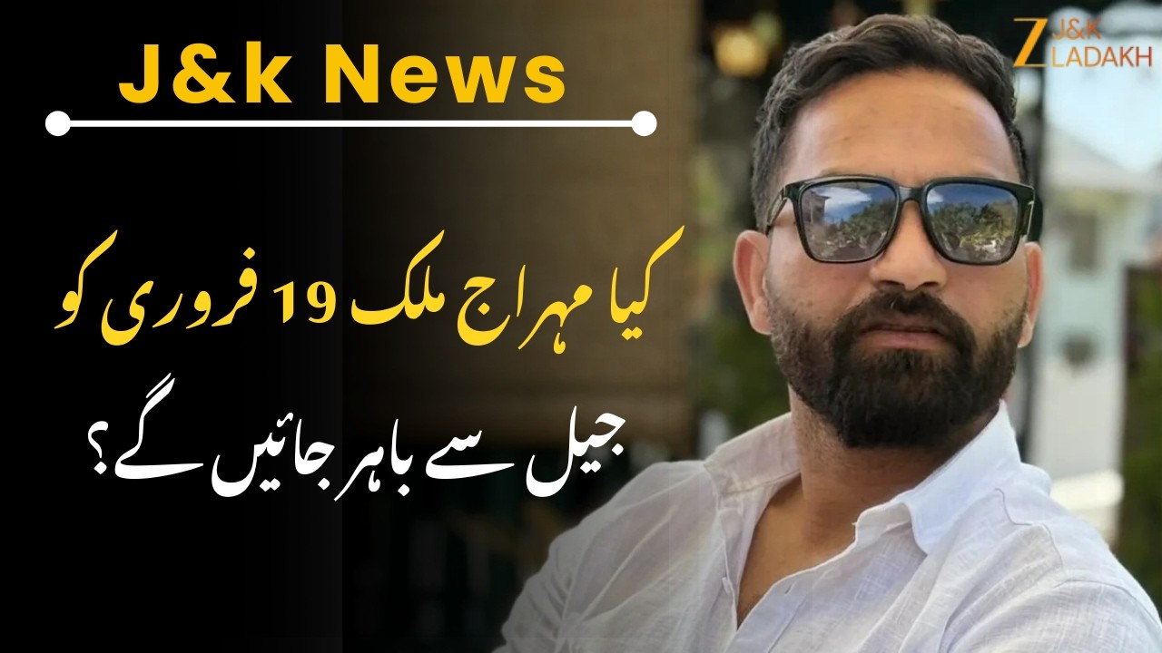 Mehraj Malik Bail Update : Mudasir Hassan Speaks on Mehraj Malik Case and J&K Assembly | ZEE JKL