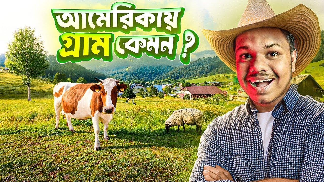 কুরবানীর গরু কিনেত আমেরিকার গ্রামে গেলাম | Visiting village in america for Qurbani Cow | Only Miraz