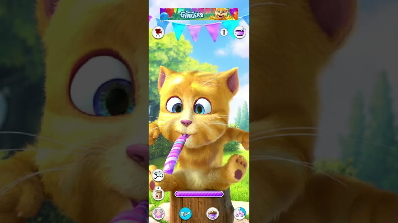 Talking Ginger Funny Videos 🍔🍕🍟🎂 | my talking tom | my talking ginger | tom ginger |  #viral 