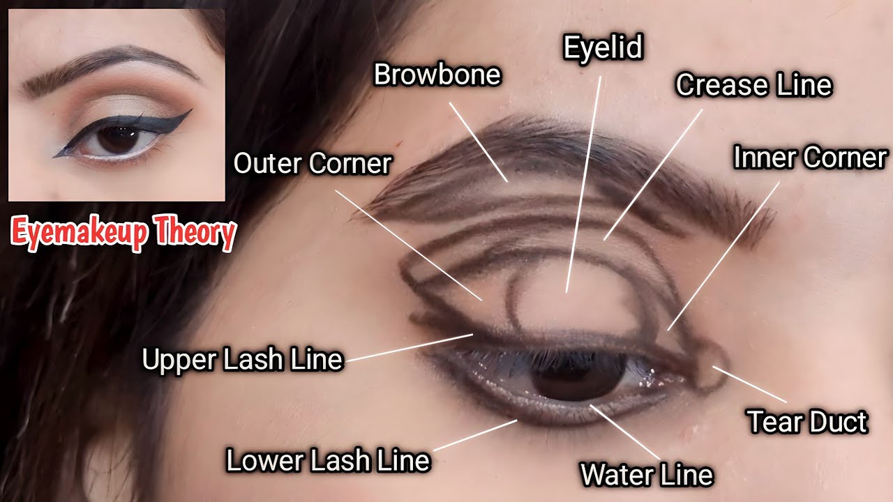 How to apply Eyeshadow according to Theory || EyeShadow tips like a Pro!!