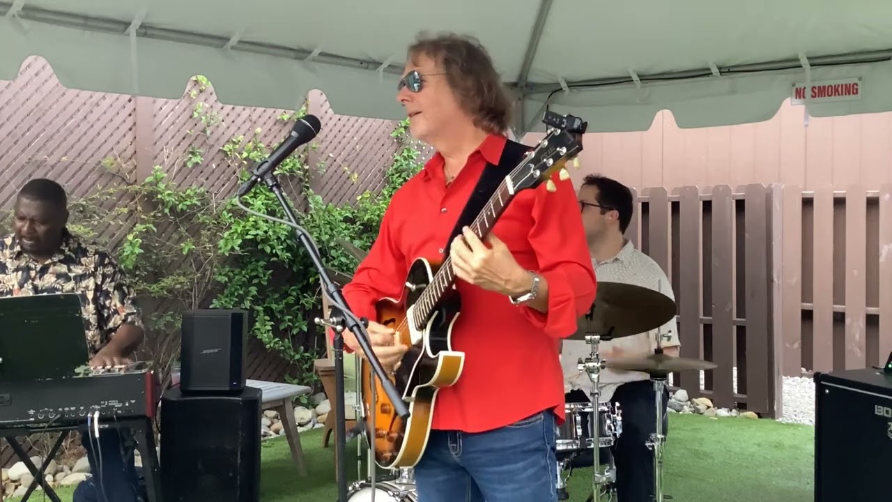 RANDY JOHNSTON 3 - V8 Ford Blues